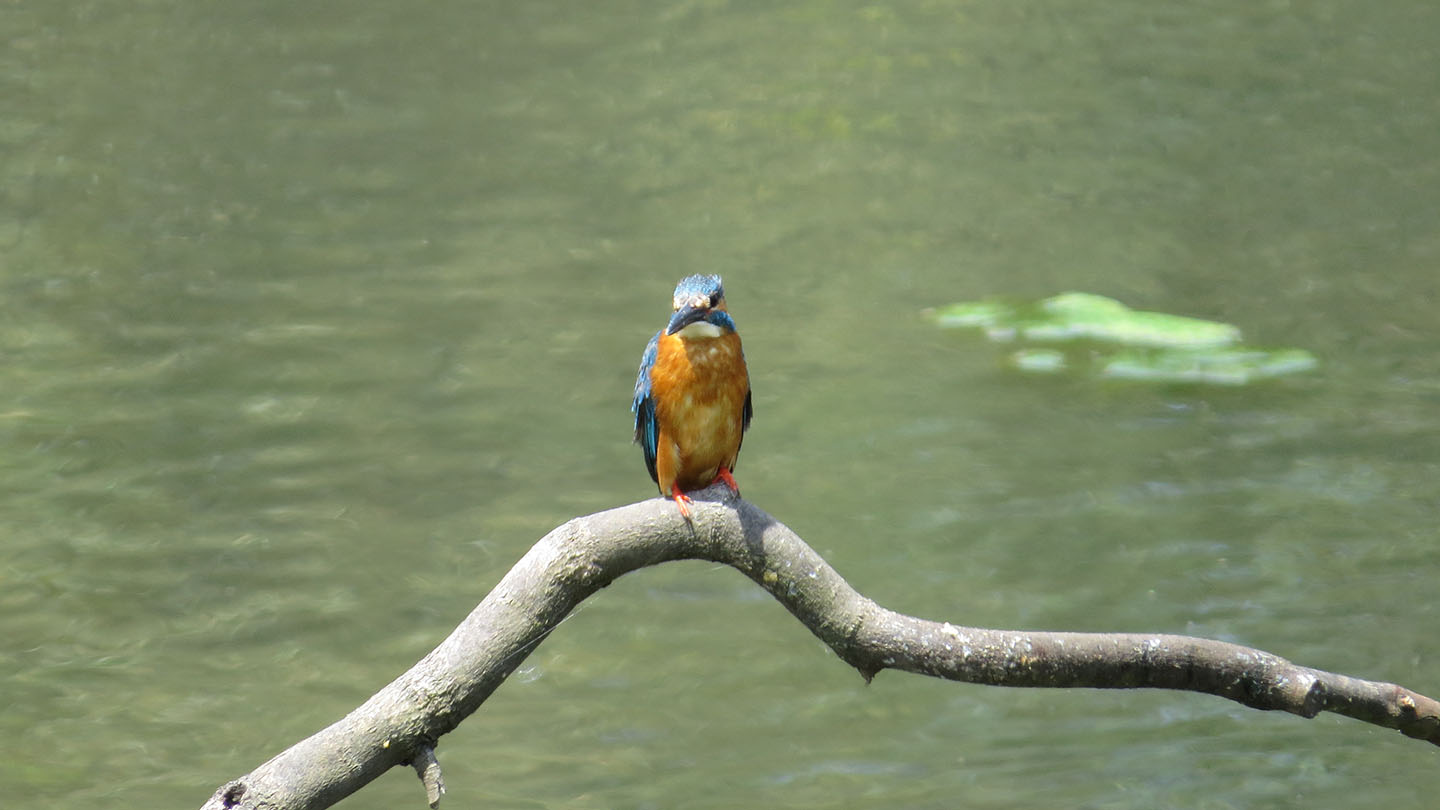 スペイン最大の貯水池 - アラルコン貯水池