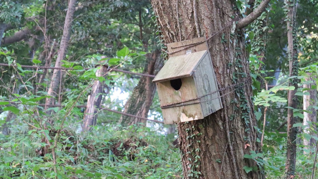 四季の森公園の巣箱