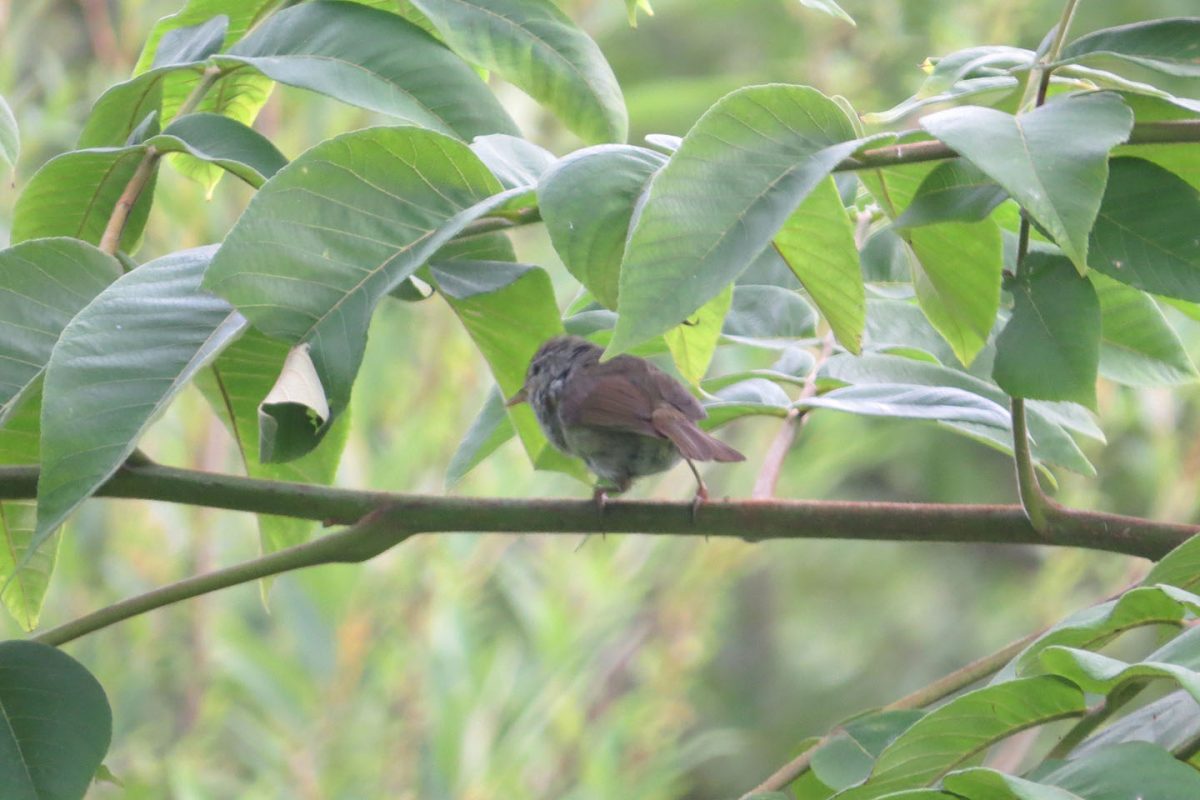 スペイン最大の貯水池 - アルメンドラ貯水池