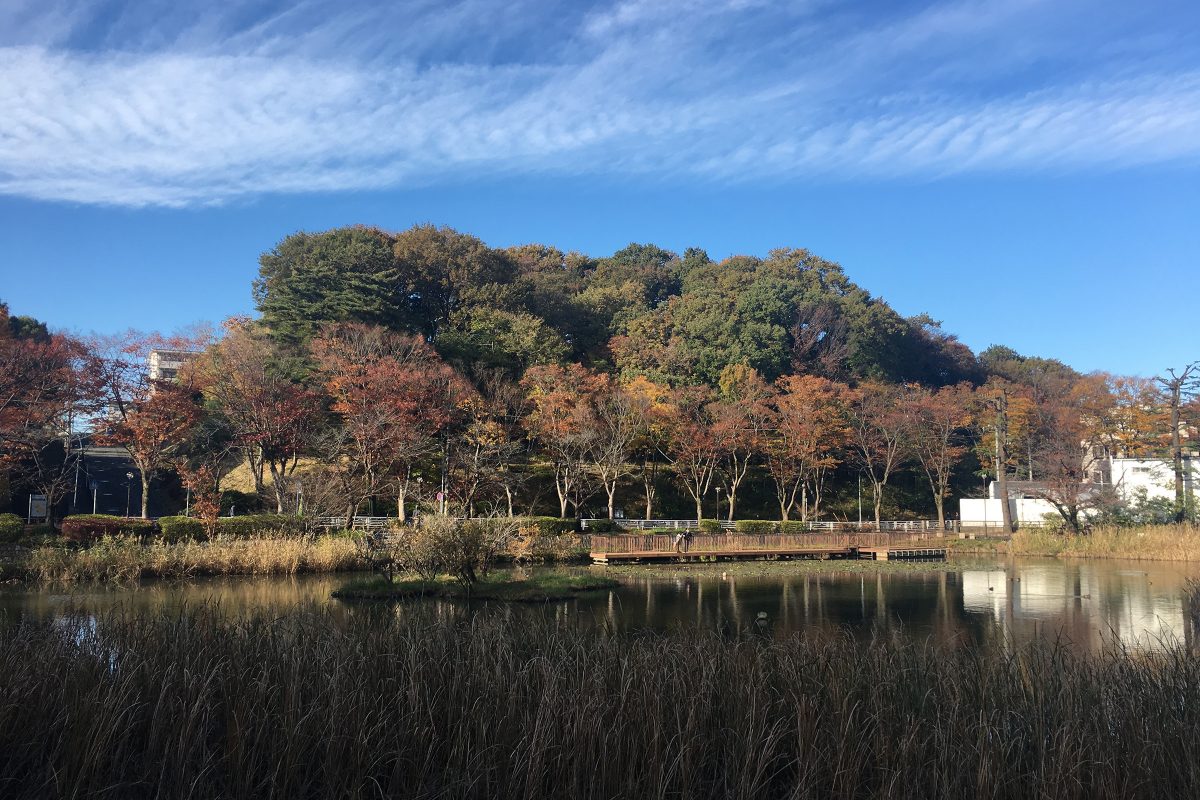 もえぎ野公園