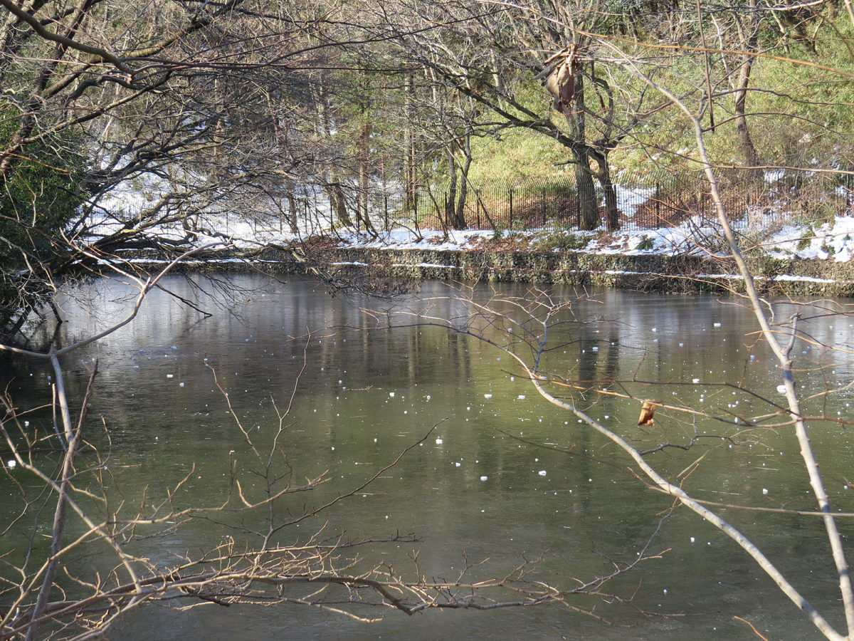 凍った大池