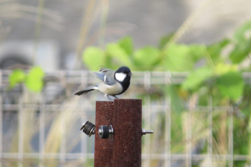 ホラー映画を生き抜くための 7 つの貴重なヒント