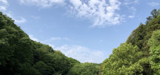 四季の森公園
