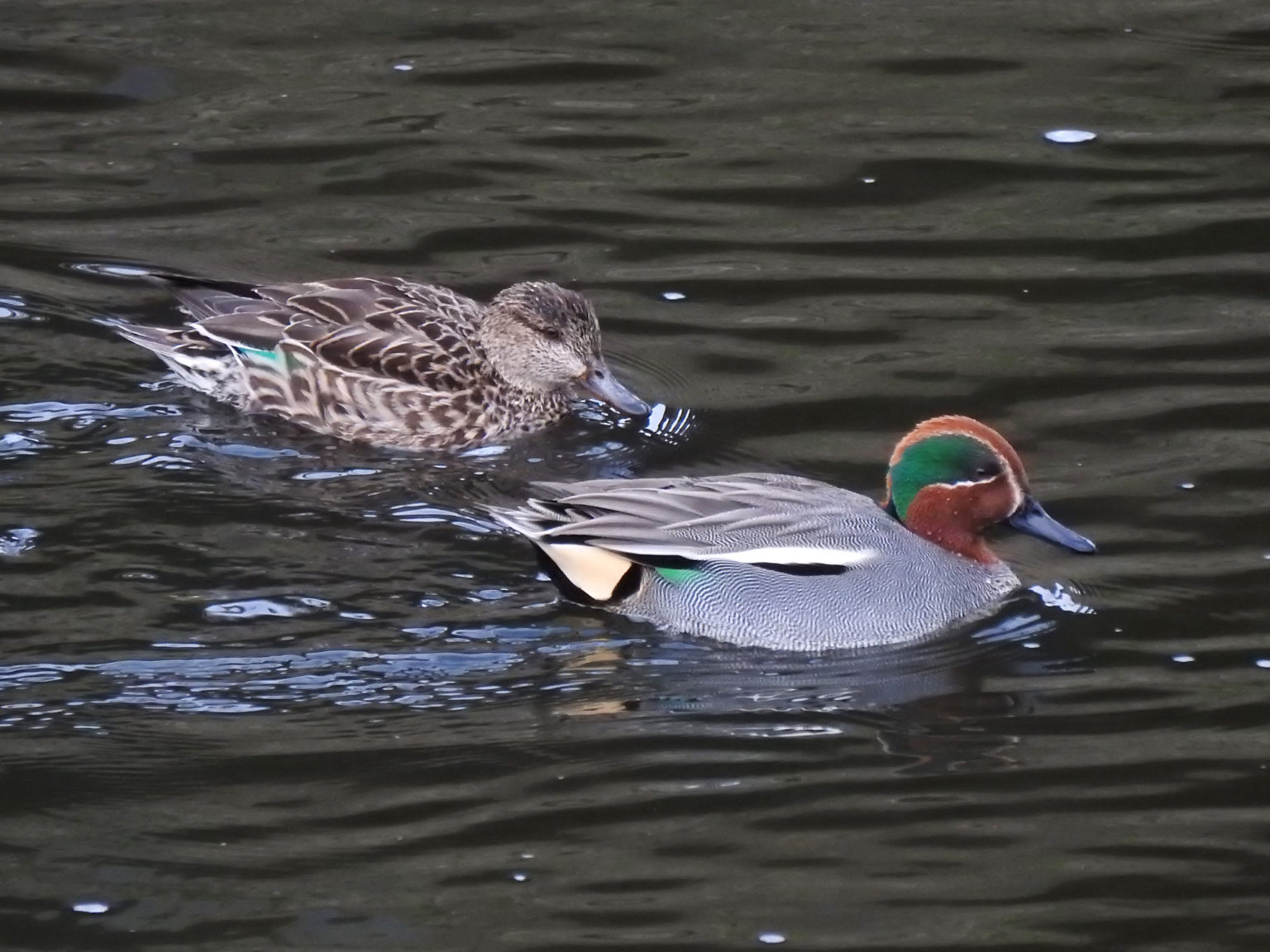 すでにセレブの世界に誕生している8人の赤ちゃん